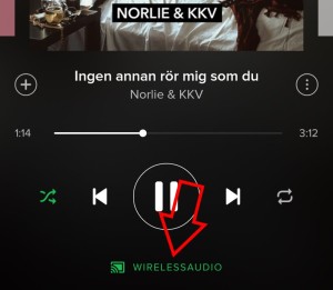 spotify-cc-audio